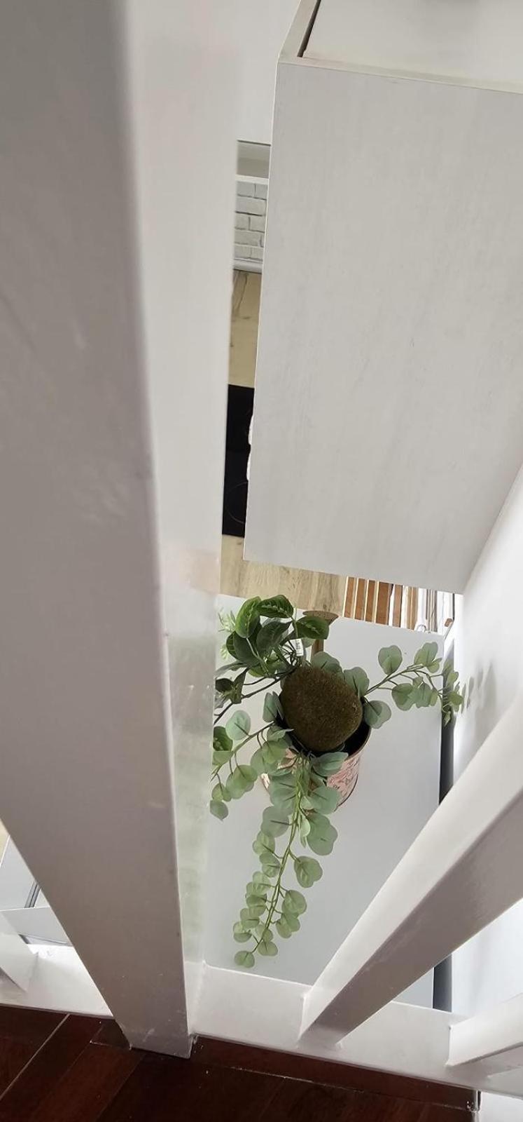 Apartamentos Tocororo Cotillo Eksteriør bilde